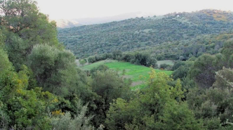 Málaga - Gaucín - 220000m2