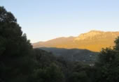 Masia amb terreny en venda a Gaucín ref.: TR224942 foto