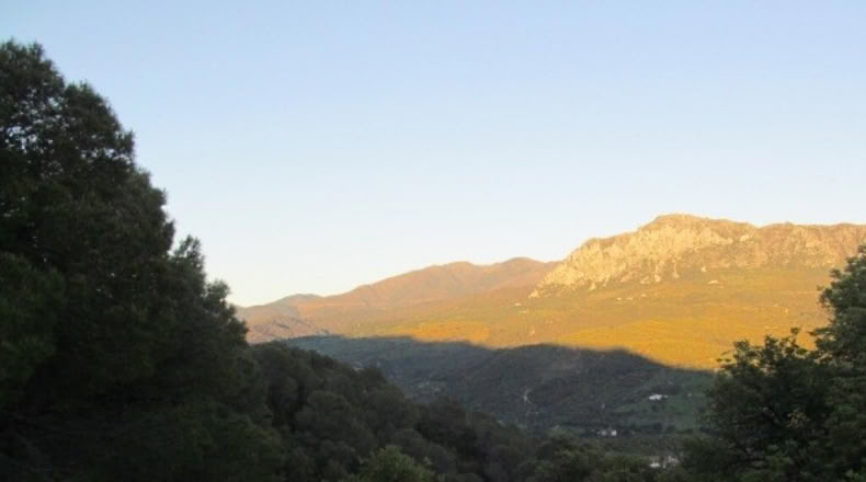 Málaga - Gaucín - 220000m2