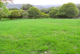 Gaucín 220000&nbsp;m²
