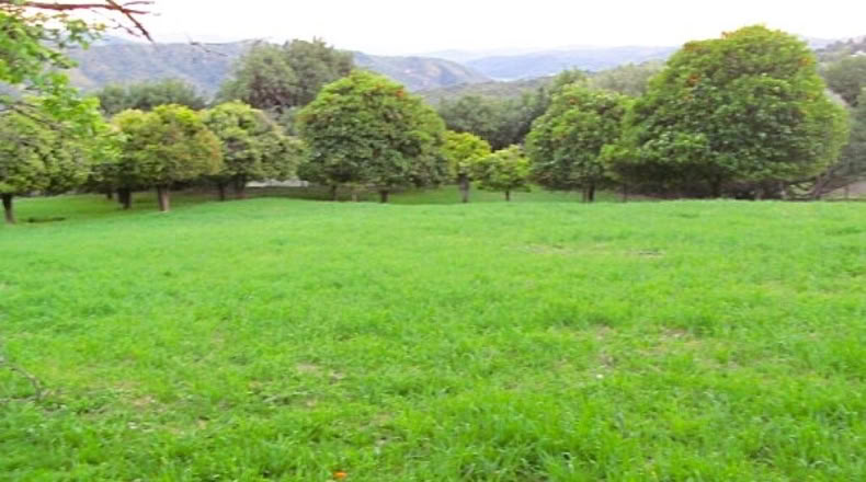Málaga - Gaucín - 220000m2