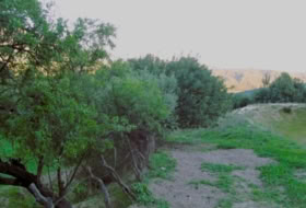 Gaucín 220000&nbsp;m²