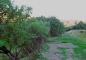 Masia amb terreny en venda a Gaucín ref.: TR224942 foto