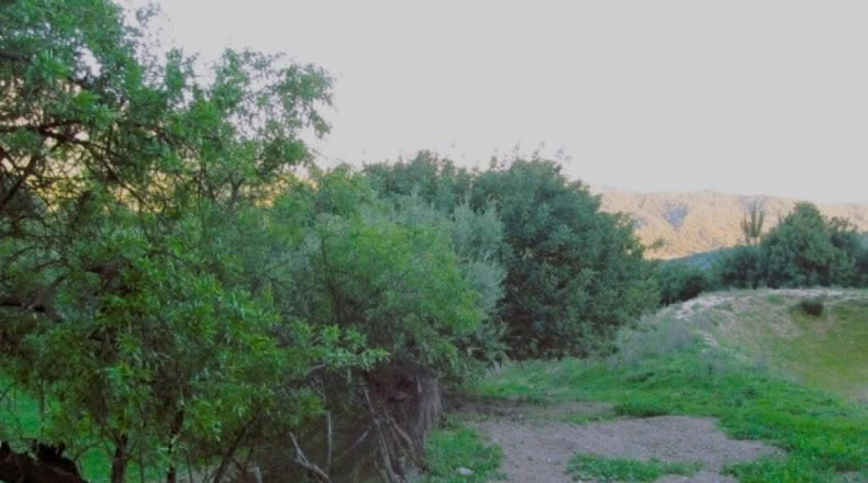 Málaga - Gaucín - 220000m2