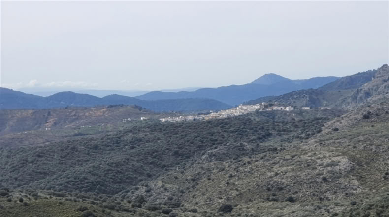 Cadiz - Jimena de la Frontera - 1332m2