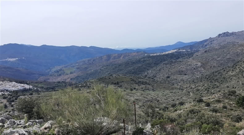 Cadiz - Jimena de la Frontera - 1332m2