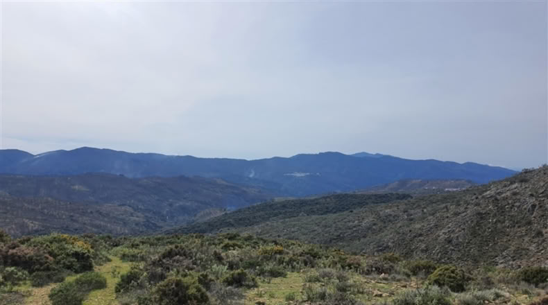 Cadiz - Jimena de la Frontera - 1332m2