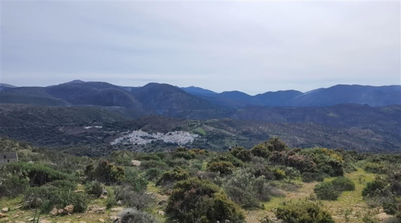 Cadiz - Jimena de la Frontera - 1332m2