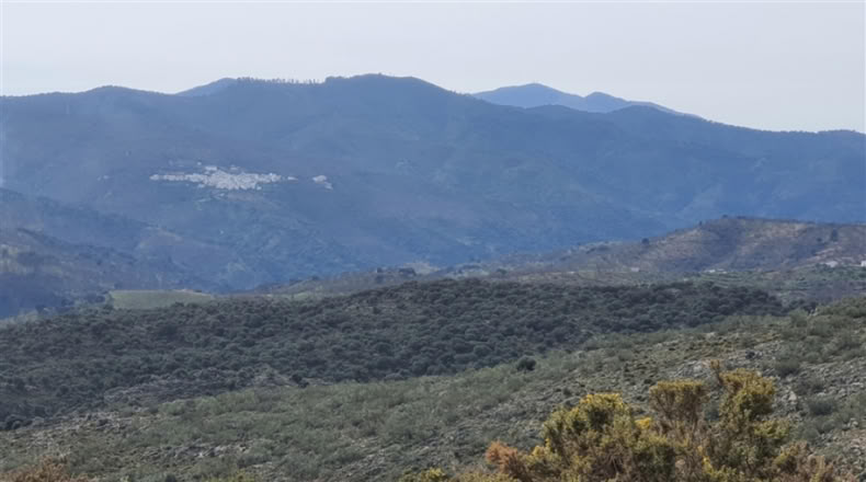 Cadiz - Jimena de la Frontera - 1332m2