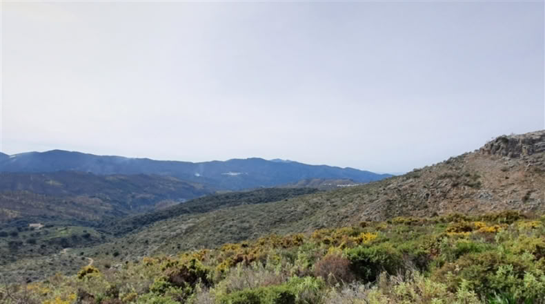 Cadiz - Jimena de la Frontera - 1332m2