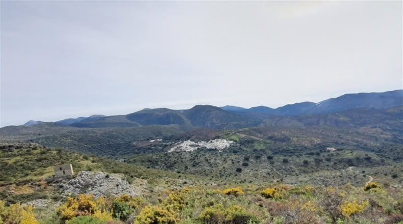 Cadiz - Jimena de la Frontera - 1332m2