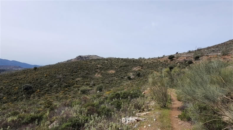 Cadiz - Jimena de la Frontera - 1332m2