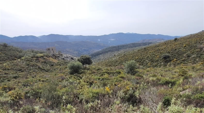 Cadiz - Jimena de la Frontera - 1332m2