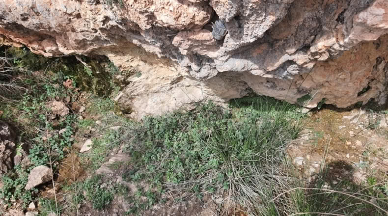 Cadiz - Jimena de la Frontera - 1332m2