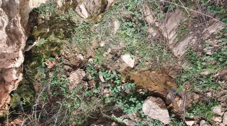 Cadiz - Jimena de la Frontera - 1332m2