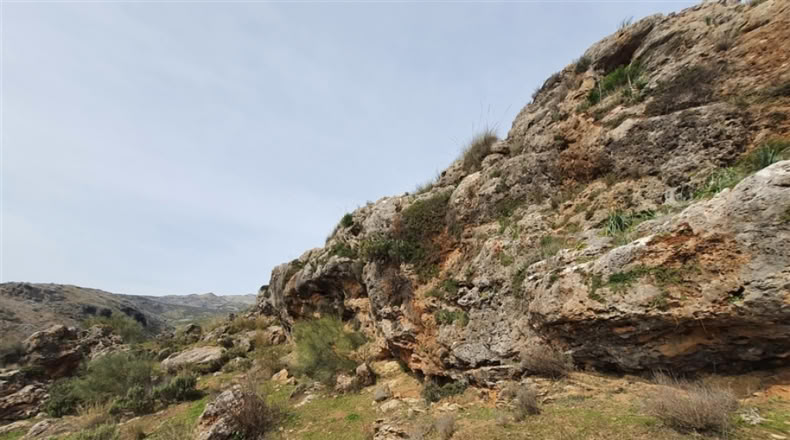 Cadiz - Jimena de la Frontera - 1332m2