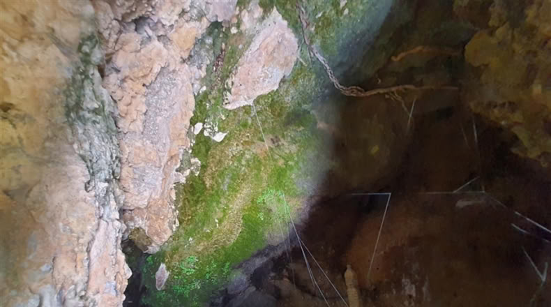 Cadiz - Jimena de la Frontera - 1332m2