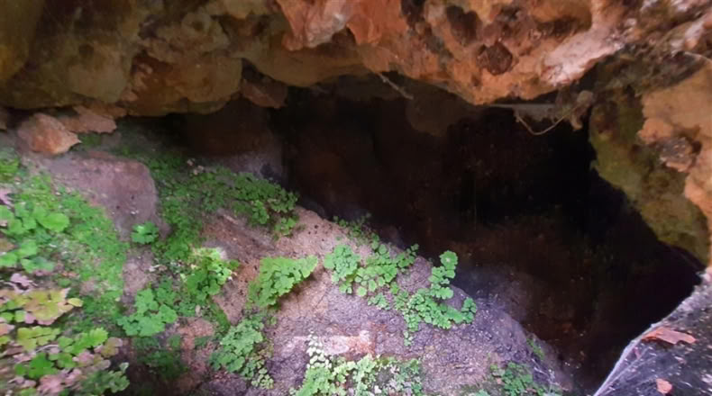 Cadiz - Jimena de la Frontera - 1332m2