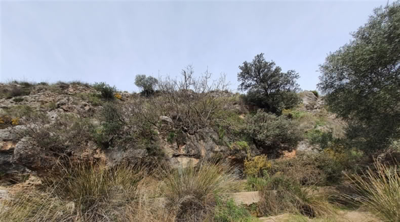 Cadiz - Jimena de la Frontera - 1332m2