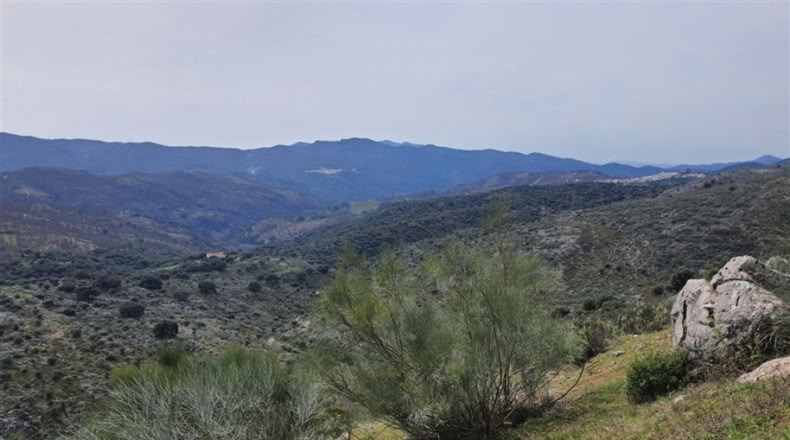 Cadiz - Jimena de la Frontera - 1332m2