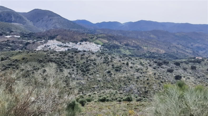 Cadiz - Jimena de la Frontera - 1332m2