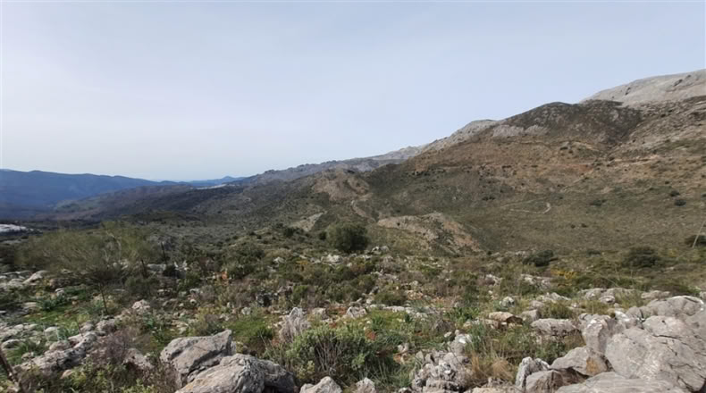 Cadiz - Jimena de la Frontera - 1332m2