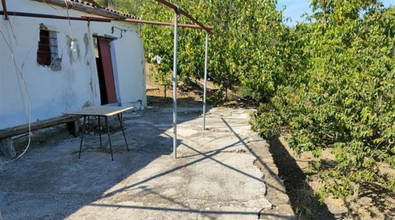 Malaga - Кортес де ла Фронтера - 5500m2