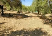 Masia amb terreny en venda a Cortes de la Frontera ref.: TR232472 foto