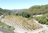 Masia amb terreny en venda a Gaucín ref.: TR186137 foto