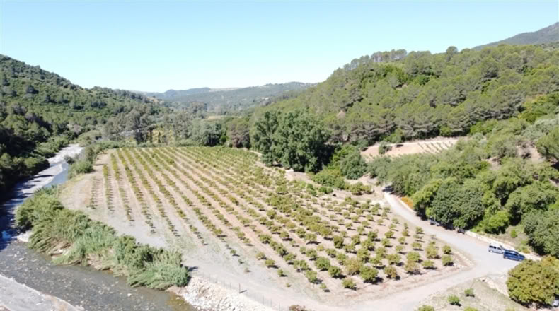Málaga - Jubrique - 55m2