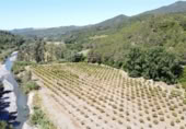 Masia amb terreny en venda a Gaucín ref.: TR186137 foto
