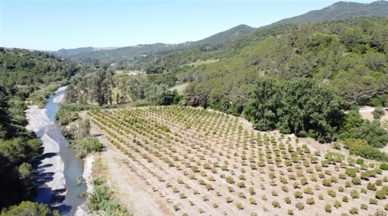 Málaga - Jubrique - 55m2