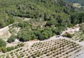 Masia amb terreny en venda a Gaucín ref.: TR186137 foto