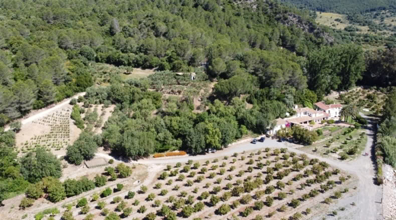 Málaga - Jubrique - 55m2