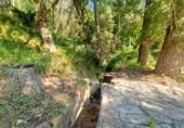 Masia amb terreny en venda a Gaucín ref.: TR186137 foto