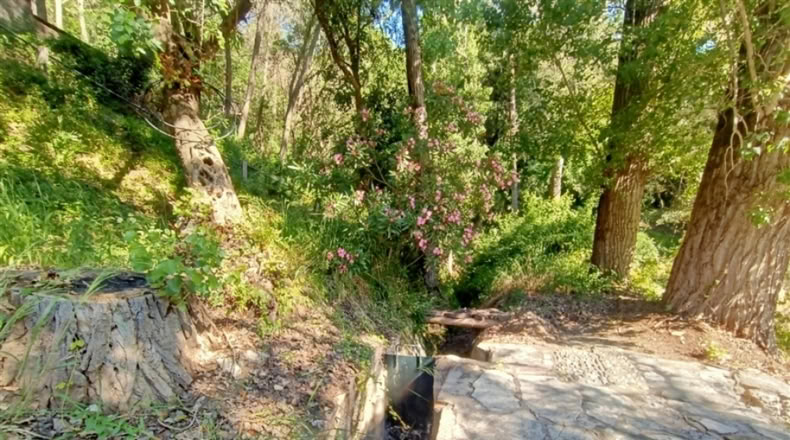 Málaga - Jubrique - 55m2
