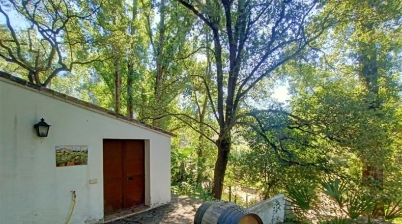 Málaga - Jubrique - 55m2