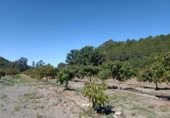 Masia amb terreny en venda a Gaucín ref.: TR186137 foto