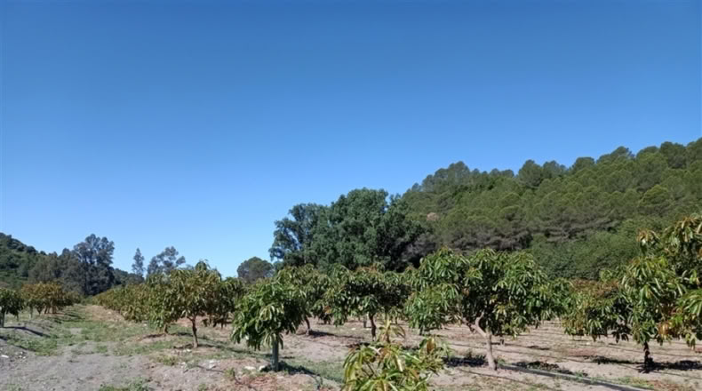 Málaga - Jubrique - 55m2