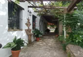 Masia with land for sale in Jimena de la Frontera ref: TR110001 photo
