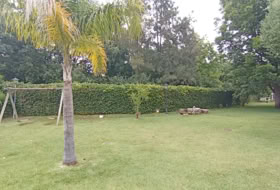 Foto 16