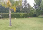 Masia with land for sale in Jimena de la Frontera ref: TR110001 photo