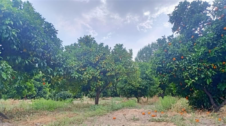 Málaga - Gaucín - 40m2