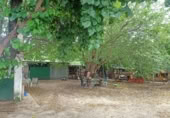 Masia with land for sale in Jimena de la Frontera ref: TR110001 photo