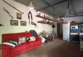 Masia with land for sale in Jimena de la Frontera ref: TR110001 photo