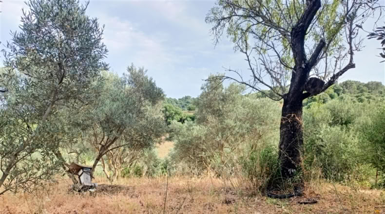 Málaga - Gaucín - 40m2