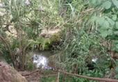 Masia with land for sale in Jimena de la Frontera ref: TR110001 photo