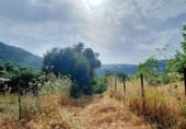 Masia with land for sale in Jimena de la Frontera ref: TR110001 photo