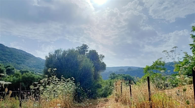 Málaga - Gaucín - 40m2