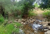Masia with land for sale in Jimena de la Frontera ref: TR110001 photo